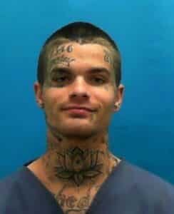 Gaven Smith Now